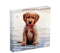 Custom wholesale acrylic UV printing picture block NLC-157