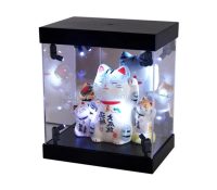 OEM custom black light display case NDD-070