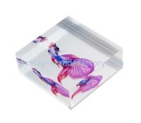 Custom clear perspex UV printing block NBL-103